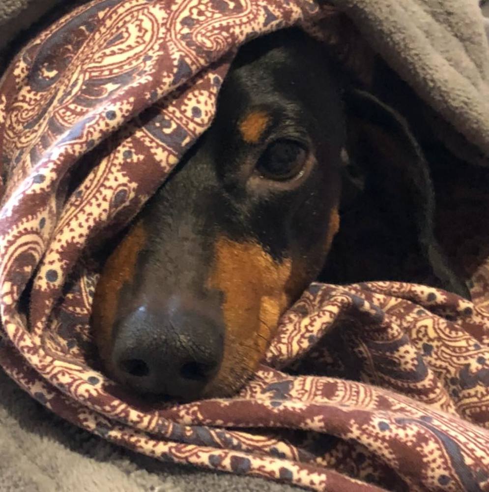 Meet your Posher, Anita